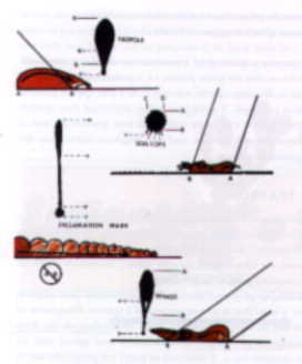 various examples of leading edge characteristics